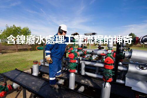 含鎳廢水處理工藝流程的神奇轉(zhuǎn)變？